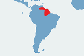 Leniwiec trójpalczasty - mapa występowania na świecie