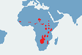 Likaon pstry – mapa występowania na świecie