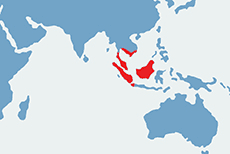 Mapa występowania lotokotów