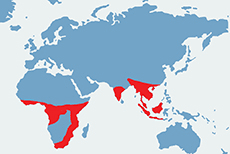 Mapa wystepowania łuskowców na świecie