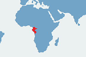 Mandryl barwnolicy - mapa występowania na świecie