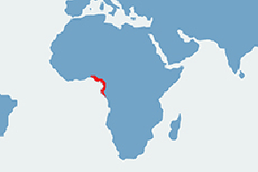 Mangaba rudoczelna, mangaba zwyczajna - mapa występowania na świecie