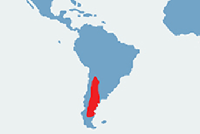 Mara patagońska - mapa występowania na świecie