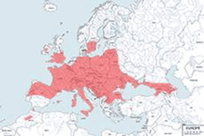 Mopek zachodni - mapa występowania na świecie