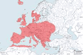 Myszarka zaroślowa – mapa występowania na świecie