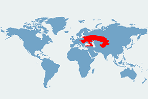 Myszarka zielna – mapa występowania na świecie