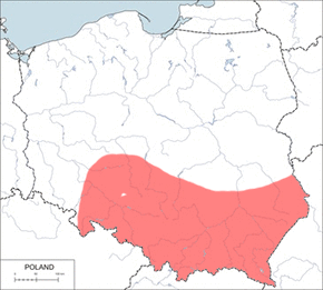 Myszarka zielna - mapa występowania w Polsce