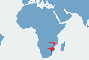 Niala grzywiasta - mapa występowania na świecie