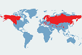 Niedźwiedź brunatny – mapa występowania na świecie