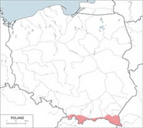 Niedźwiedź brunatny - mapa występowania w Polsce