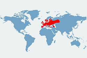 Nocek rudy – mapa występowania na świecie