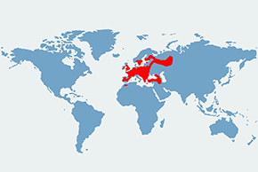 Nocek wąsatek – mapa występowania na świecie