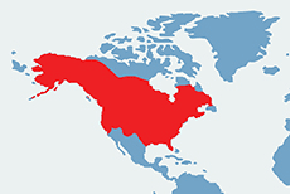 Norka amerykańska - mapa występowania na świecie