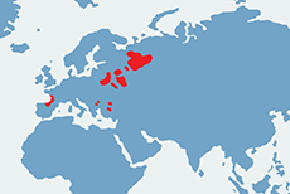 Norka europejska - mapa występowania na świecie