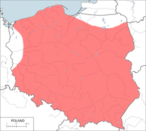 Nornik darniowy – mapa występowania w Polsce