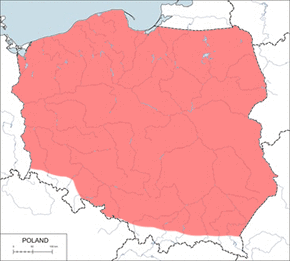 Nornik północny – mapa występowania w Polsce