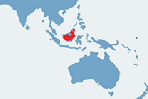 Nosacz sundajski - mapa występowania na świecie