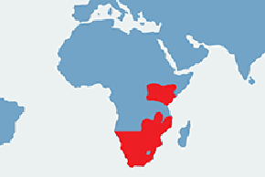 Nosorożec biały, nosorożec afrykański - mapa występowania na świecie