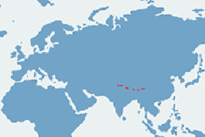 Nosorożec indyjski – mapa występowania na świecie