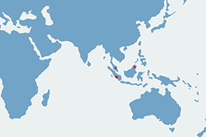 Nosorożec sumatrzański – mapa występowania na świecie