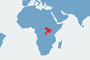 Okapi - mapa występowania na świecie