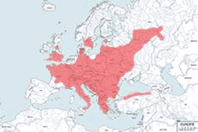 Orzesznica leszczynowa - mapa występowania na świecie