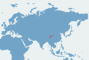 Panda wielka – mapa występowania na świecie