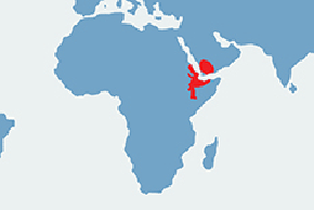 Pawian płaszczowy - mapa występowania na świecie