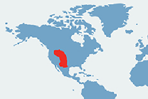 Piesek preriowy, nieświszczuk - mapa występowania na świecie