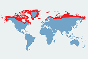 Lis polarny – mapa występowania na świecie