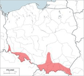 Podkowiec mały – mapa występowania w Polsce