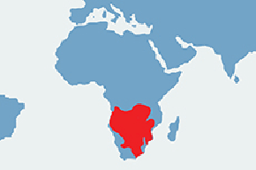 Postrzałka kafryjska – mapa występowania na świecie