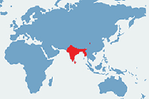 Rudawka wielka - mapa występowania na świecie