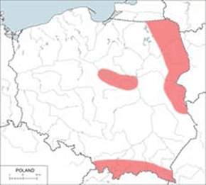 Ryś euroazjatycki - mapa występowania w Polsce