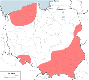 Rzęsorek mniejszy - mapa występowania w Polsce