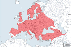 Sarna europejska - mapa występowania na świecie