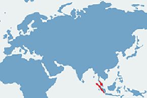 Serau białogrzywy – mapa występowania na świecie