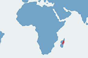 Sifaka diademowa - mapa występowania na świecie
