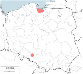 Jeleń wschodni – mapa występowania w Polsce