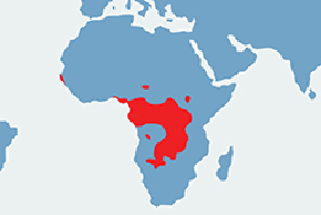 Sitatunga sawannowa - mapa występowania na świecie