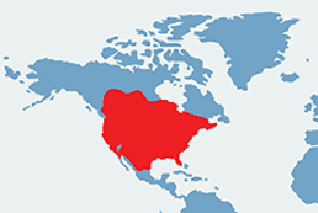 Skunks zwyczajny, śmierdziel - mapa występowania na świecie