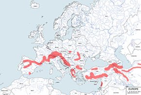 Śnieżnik europejski - mapa występowania na świecie