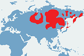 Soból tajgowy – mapa występowania na świecie