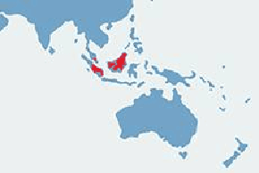 Świnia brodata - mapa występowania na świecie