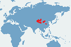 Szczekuszka ałtajska - mapa występowania na świecie