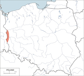 Szczur śniady - mapa występowania w Polsce