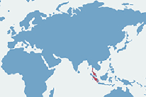 Tapir czaprakowy – mapa występowania na świecie