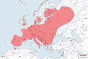 Tchórz zwyczajny – mapa występowania na świecie