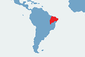 Uistiti białoucha - mapa występowania na świecie