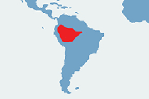 Pigmejka karłowata – mapa występowania na świecie